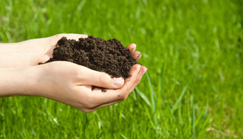 grass soil